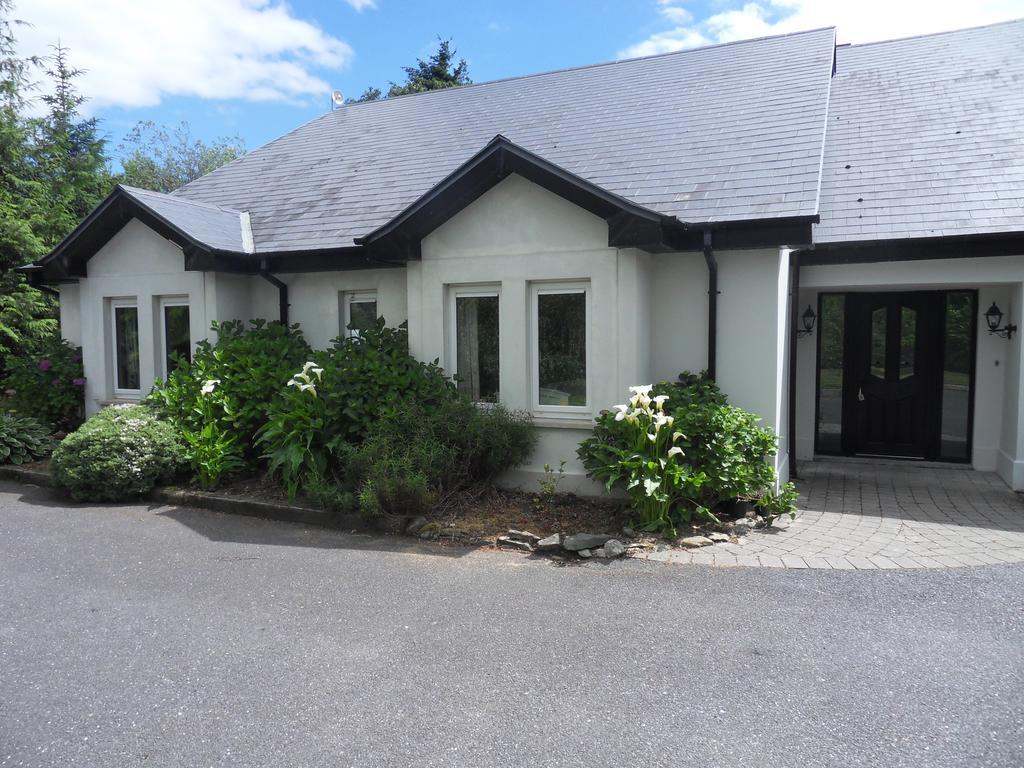 Ethan House Cill Airne Exteriör bild